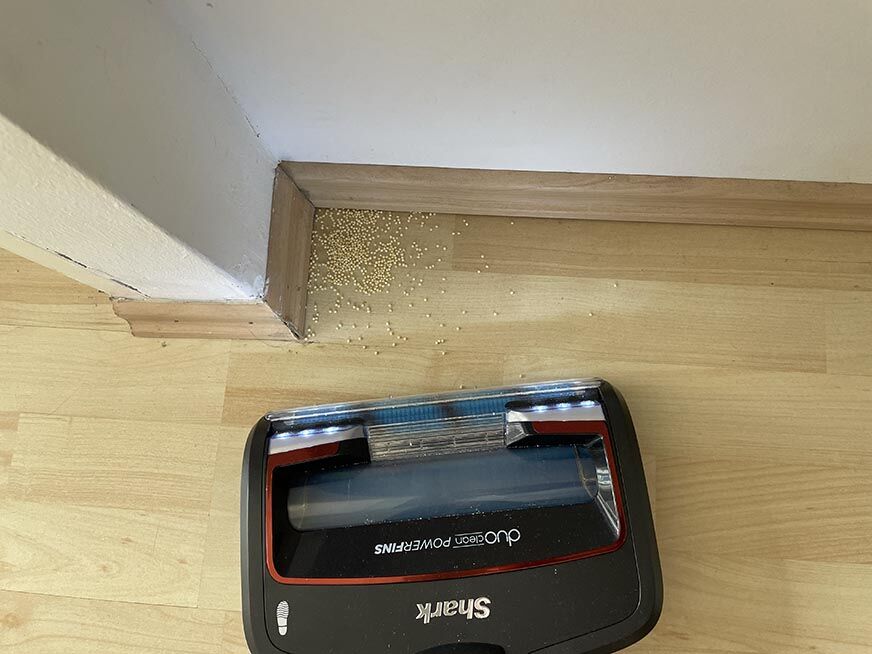 You can see how the Shark Anti Hair Wrap Flexology vacuums in corners. 